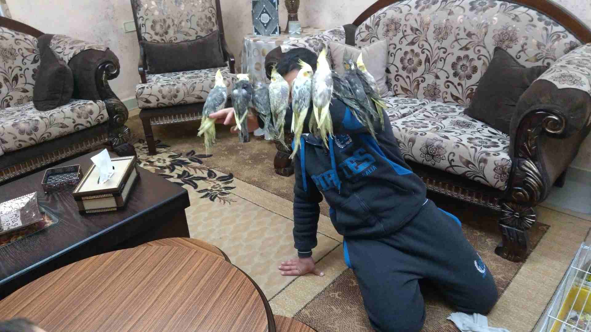 كوكتيل اليف                                            


	 				لا تنسَ أنك شاهدت هذا الإعلان في عنكبوت            
	 				
                            ما شاء الله
عرض خاص يا بلاش بلدي صحة ونظافة
ك...