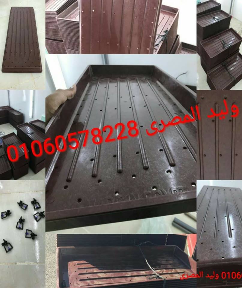 صوانى استنبات الشعير العلف الاخضر الطازج
لا تنسَ أنك شاهدت هذا الإعلان في عنكبوت
صوانى استنبا...