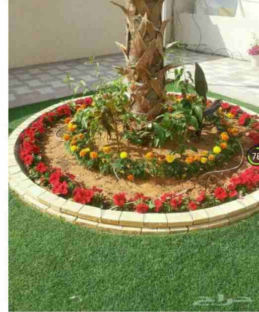 تنسيق حدائق
لا تنسَ أنك شاهدت هذا الإعلان في عنكبوت
تنسيق حدائق شلالات نوافير ديكورات صيانة فلل و...