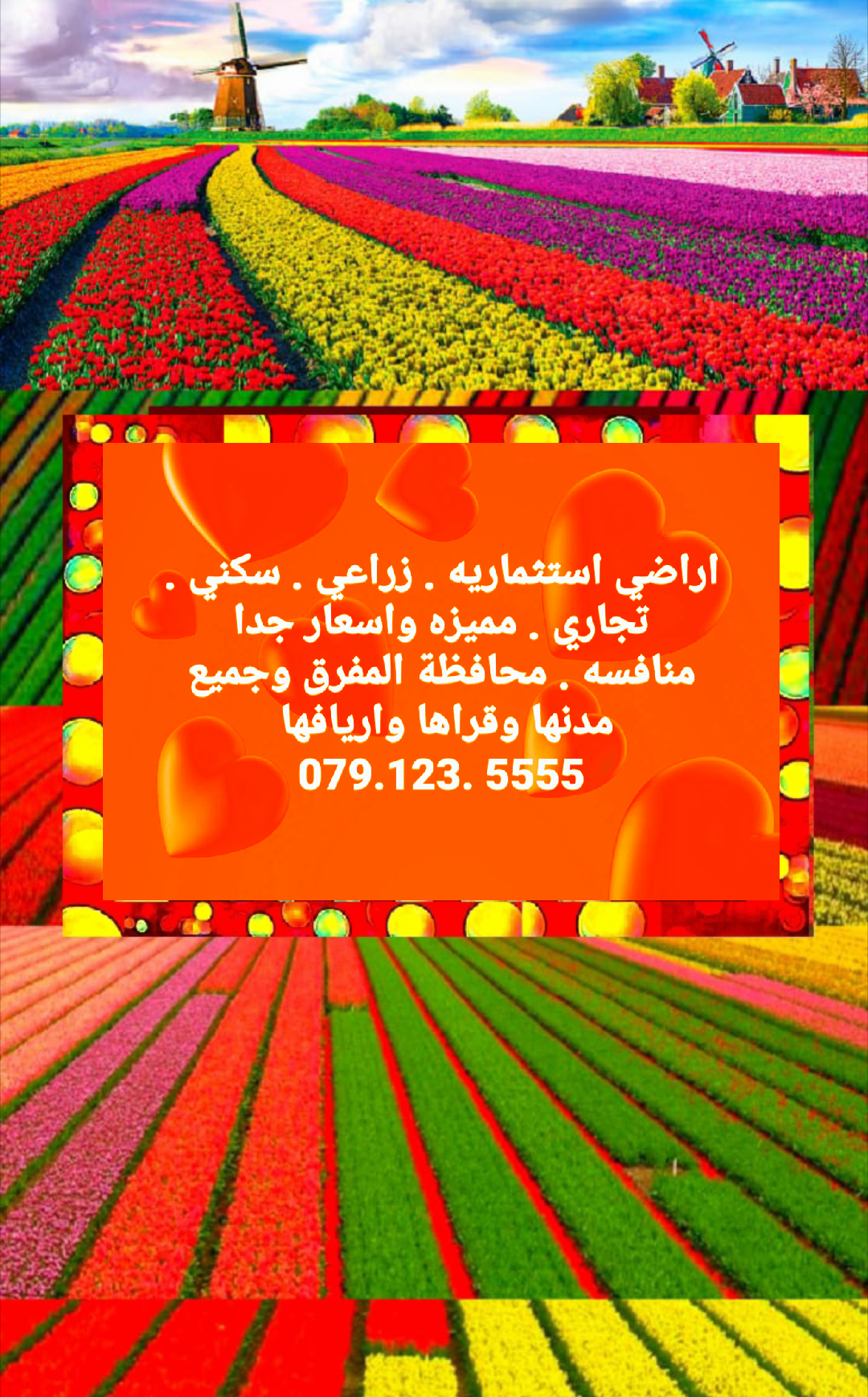 اراضي 95 دونم . المفرق . 300 د                                            


	 				لا تنسَ أنك شاهدت هذا الإعلان في عنكبوت            
	 				
                            بسم الله الرحمن الرحيم&nbs...