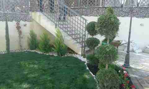 تنسيق الحدائق والديكورات وانشاء مزارع
لا تنسَ أنك شاهدت هذا الإعلان في عنكبوت
السلام عليكم
مخ...