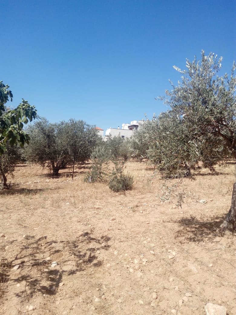 850 متر ابو نصير حوض ام بطمه موقع مميز من المالك
لا تنسَ أنك شاهدت هذا الإعلان في عنكبوت
ارض...