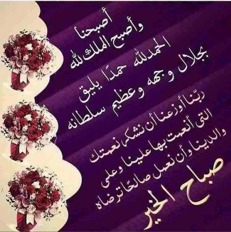 لنسيز عدسات جميع الألوان البكج 4 عبوات جميع الألوان
لا تنسَ أنك شاهدت هذا الإعلان في عنكبوت
بكج ل...
