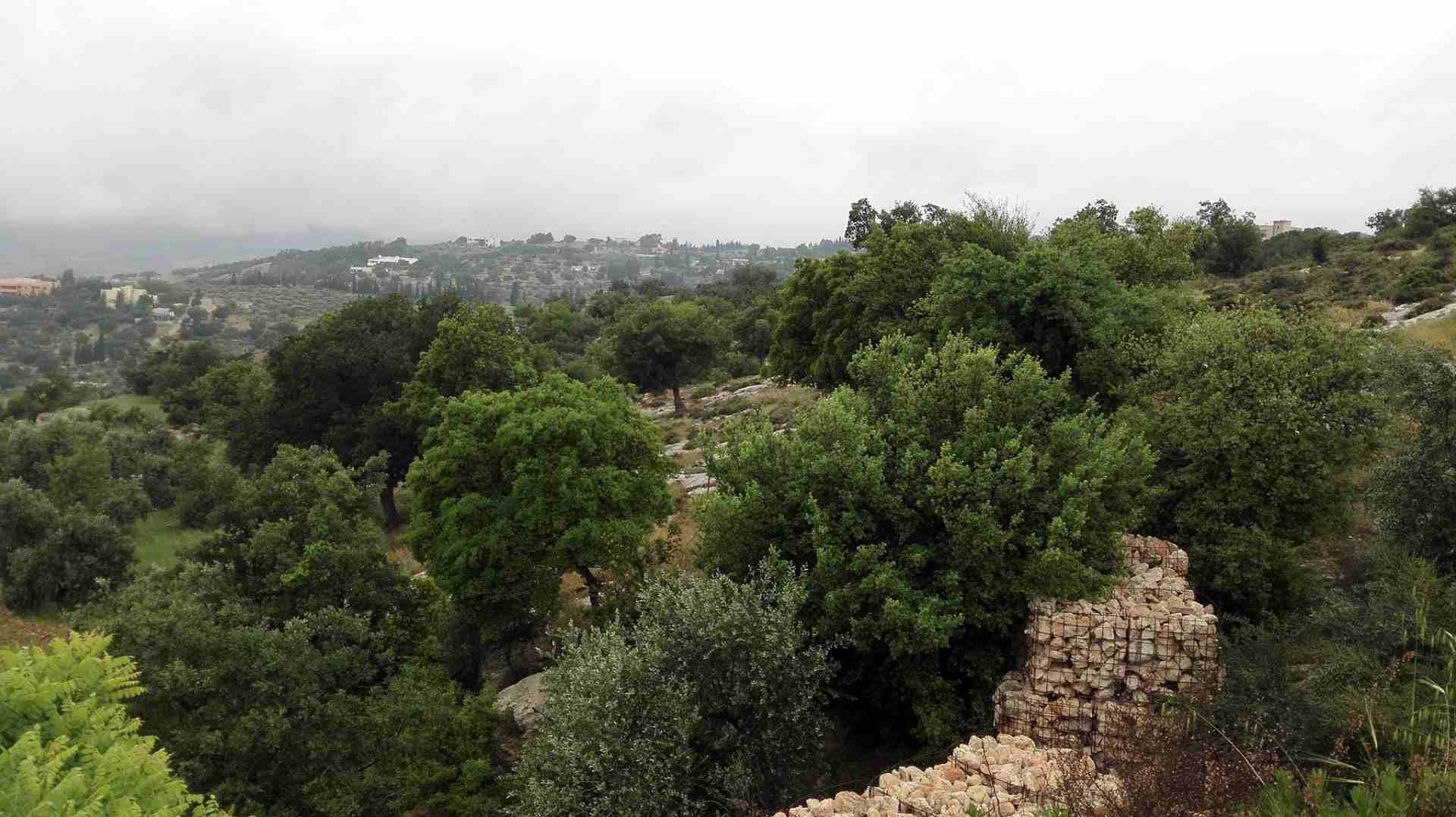 منطقه فلل بطابع ريفي 633م بدر الجديده
لا تنسَ أنك شاهدت هذا الإعلان في عنكبوت
أرض للبيع ، بدر الج...