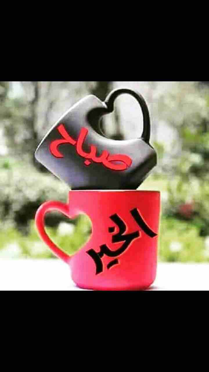 شقة للايجار                                            


	 				لا تنسَ أنك شاهدت هذا الإعلان في عنكبوت            
	 				
                            شقة للايجار في حي نزال قرب الهنيني
غرفة  مناف...