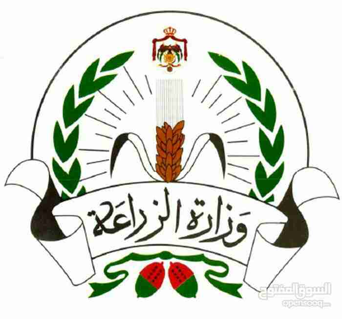 زيت زيتون اصلي افحص واشتري                                            


	 				لا تنسَ أنك شاهدت هذا الإعلان في عنكبوت            
	 				
                                زيت رومي بعل السعر. زيت ال...