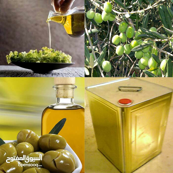 زيت بلصلاة علنبي                                            


	 				لا تنسَ أنك شاهدت هذا الإعلان في عنكبوت            
	 				
                                زيت زيتؤن للبيع.. رؤمي/ بعل/ الاصلي...