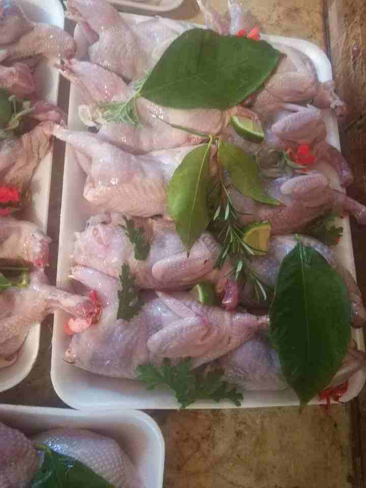 فري منظف جاهز للطبخ                                            


	 				لا تنسَ أنك شاهدت هذا الإعلان في عنكبوت            
	 				
                            فري__نباتي_طازج
اطلب الان فري جامبو ن...