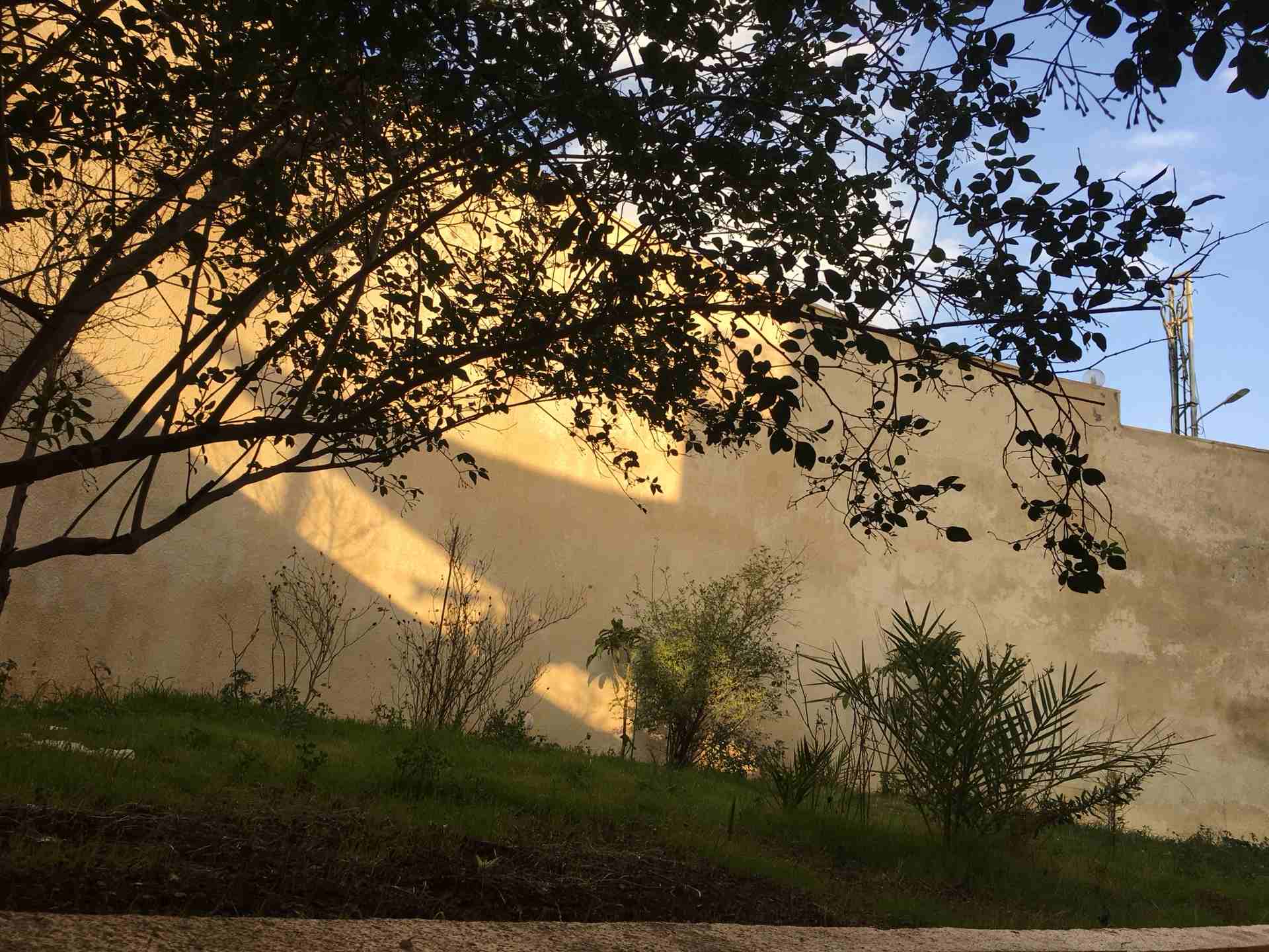 البيادر خلف الصناعة/للايجار او للبيع شقه ديلوكس من المالك
لا تنسَ أنك شاهدت هذا الإعلان في عنكبوت...
