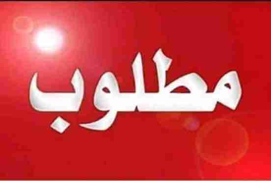 مـطـلوب جـاج بلدي                                            


	 				لا تنسَ أنك شاهدت هذا الإعلان في عنكبوت            
	 				
                                مطلوب جـاج بلدي قرب منطقة السلط
الر...