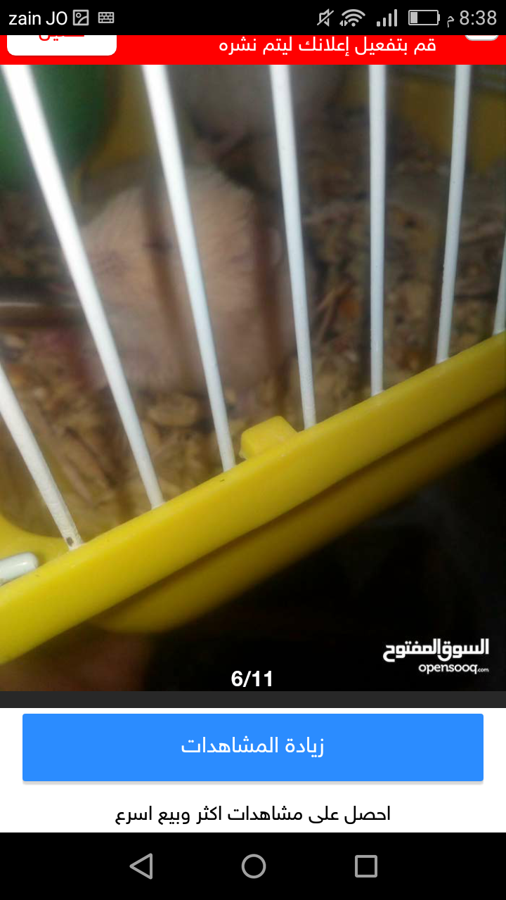 هامستر جوز6د يا بلاش روسي شعر طويل اليفات 16د مع اكل وقفص ونجارة ةتوصيل يا بلاش
لا تنسَ أنك شاهدت هذا الإعلان في عنكبوت...