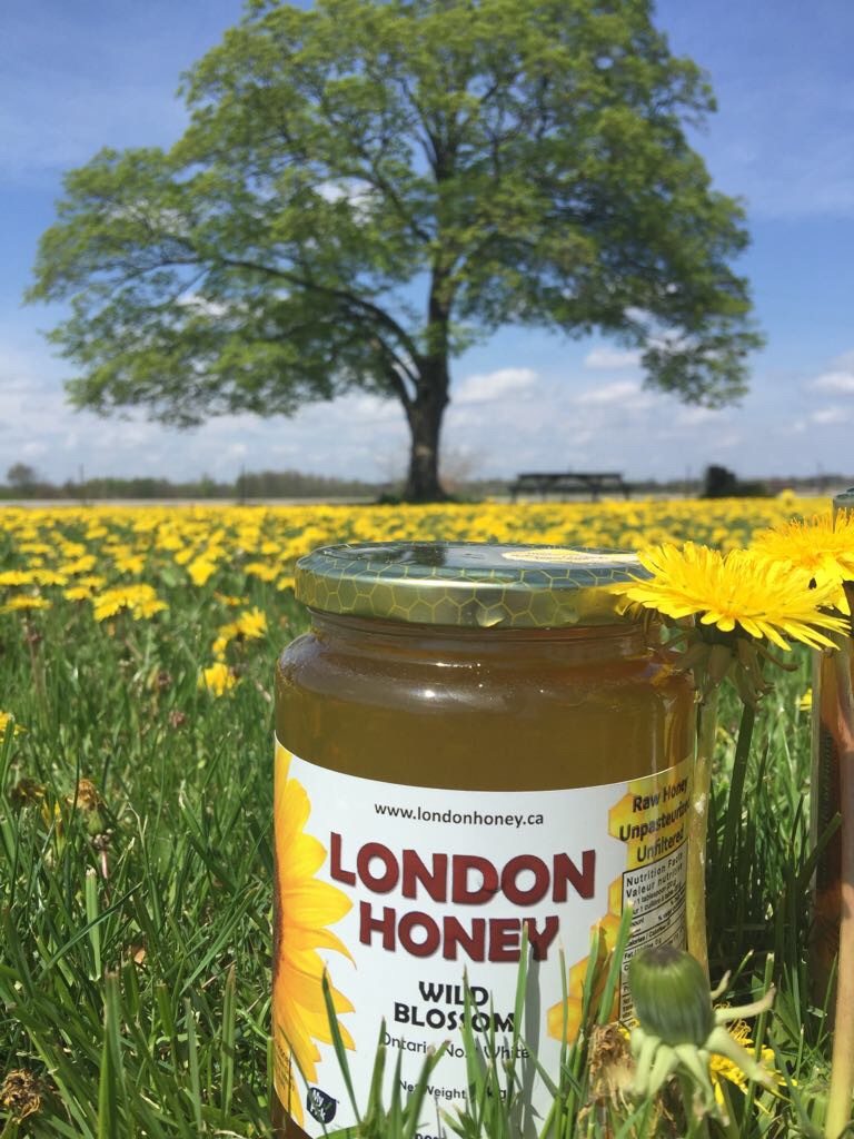عسل كندي طبيعي حر صافي raw honey
لا تنسَ أنك شاهدت هذا الإعلان في عنكبوت
عسل حر انتاج مراعي ك...