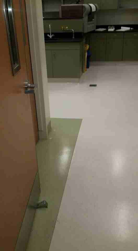 ارضيات Raised Floor , Parquet , Rubber, PVC
لا تنسَ أنك شاهدت هذا الإعلان في عنكبوت
بي في سي ، ر...