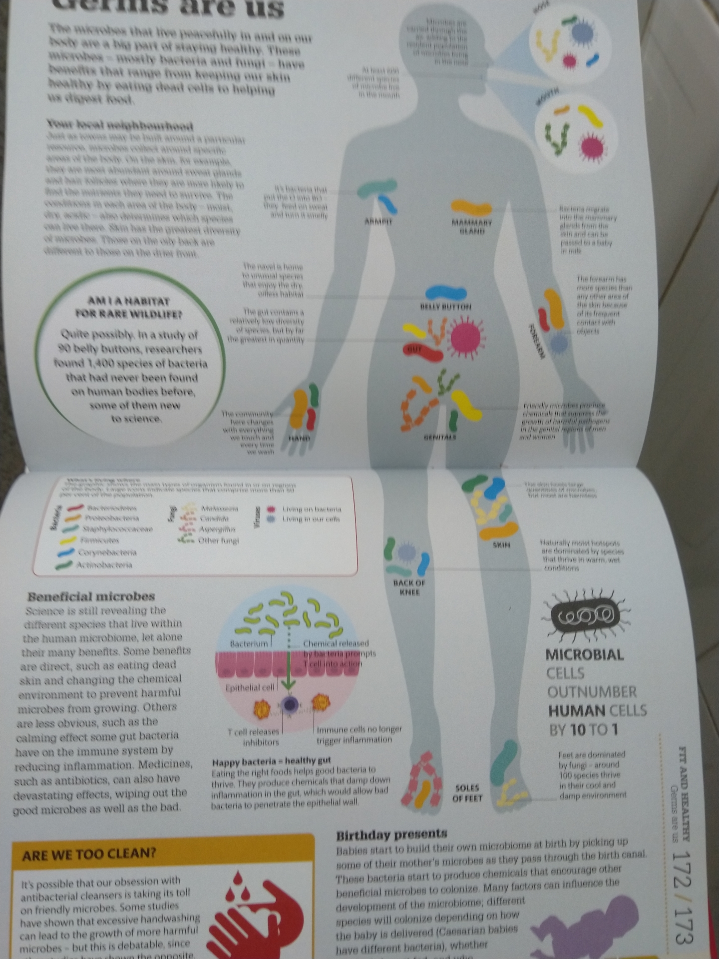 How The Body Works : The facts visually explained
لا تنسَ أنك شاهدت هذا الإعلان في عنكبوت
كتا...