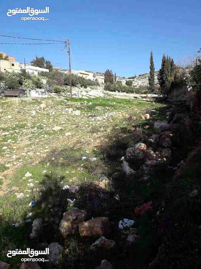 ارض للبيع ناعور وسيل حسبان قرب النبع
لا تنسَ أنك شاهدت هذا الإعلان في عنكبوت
ارض للبيع
اراضي نا...