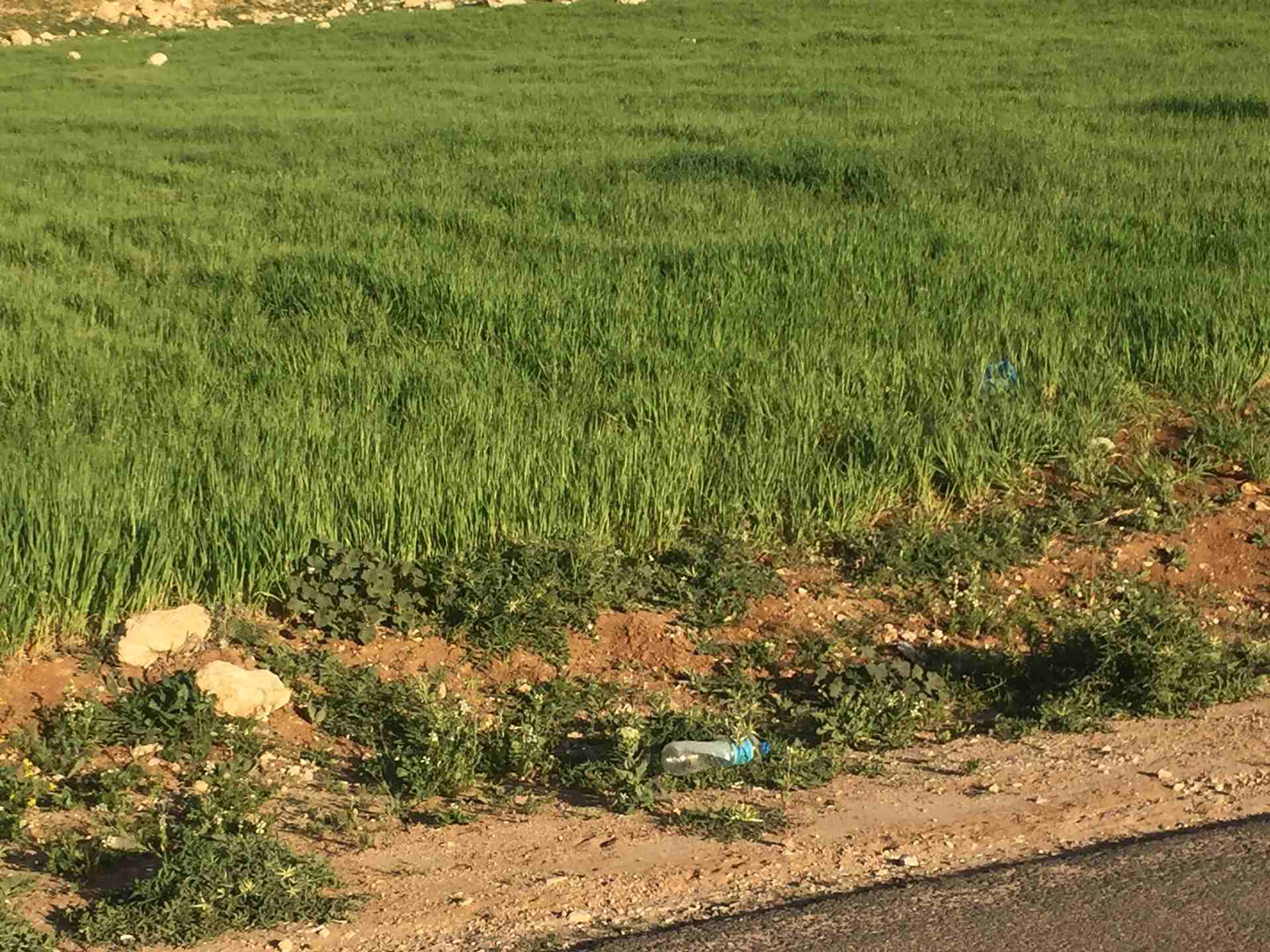 للبيع في شفا بدران حوض عيون الذيب بسعر لقطة                                            


	 				لا تنسَ أنك شاهدت هذا الإعلان في عنكبوت            
	 				
                            قطعة أرض للبي...