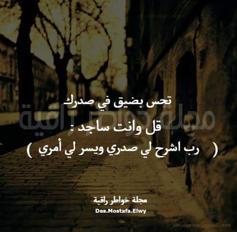 معلم حمص وفول وفلافل وسلطات ابحث عن عمل
لا تنسَ أنك شاهدت هذا الإعلان في عنكبوت
معلم حمص وفول...