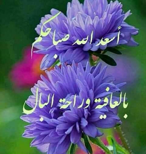 زيت زيتون بلدي                                            


	 				لا تنسَ أنك شاهدت هذا الإعلان في عنكبوت            
	 				
                                زيت زيتون بلدي...