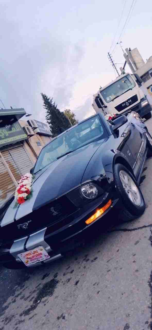فورد موستنج كشف الاعراس والافراح 0785856774
لا تنسَ أنك شاهدت هذا الإعلان في عنكبوت
فورد موستنج ك...
