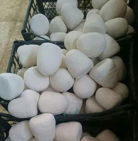 جميد بلدي                                            


	 				لا تنسَ أنك شاهدت هذا الإعلان في عنكبوت            
	 				
                                جميد بلدي...