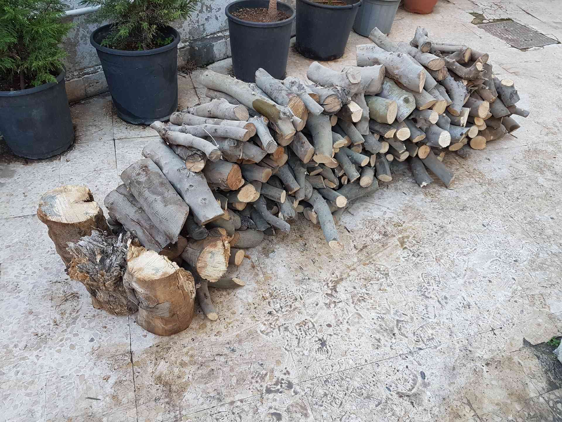 حطب زيتون للبيع                                            


	 				لا تنسَ أنك شاهدت هذا الإعلان في عنكبوت            
	 				
                                كوم حطب للبيع نفس الصوره العنوان جبل...