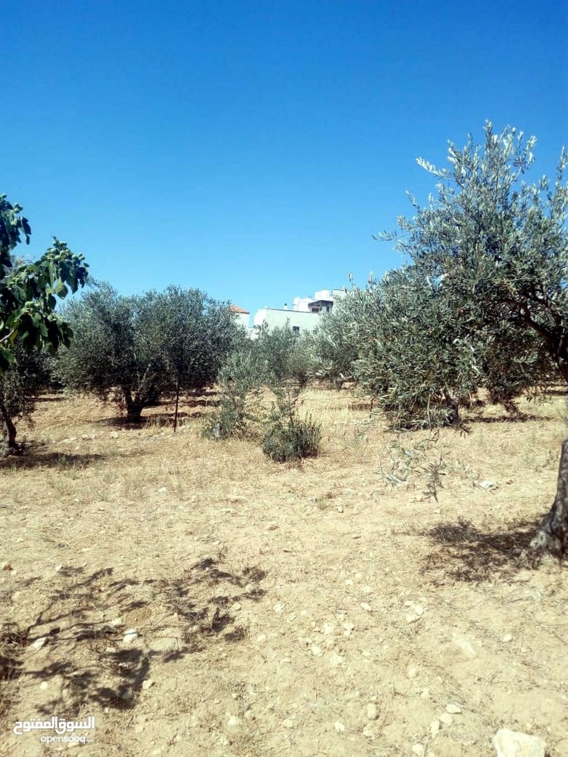 للبيع ابو نصير حوض ام بطمه 850م بسعر مغري من المالك مباشره
لا تنسَ أنك شاهدت هذا الإعلان في عنكبوت...