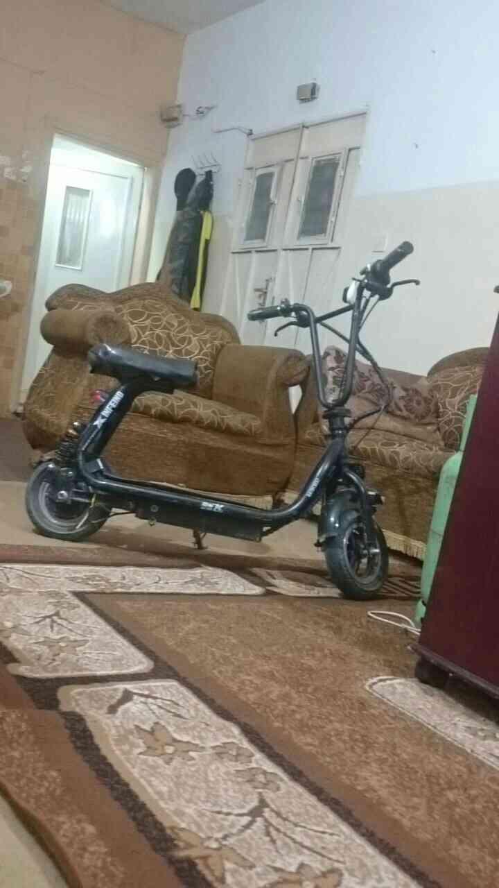 بسم الله الرحمن الرحيم                                            


	 				لا تنسَ أنك شاهدت هذا الإعلان في عنكبوت            
	 				
                                دراجي كهربا وكالي بتمشي بشحني...