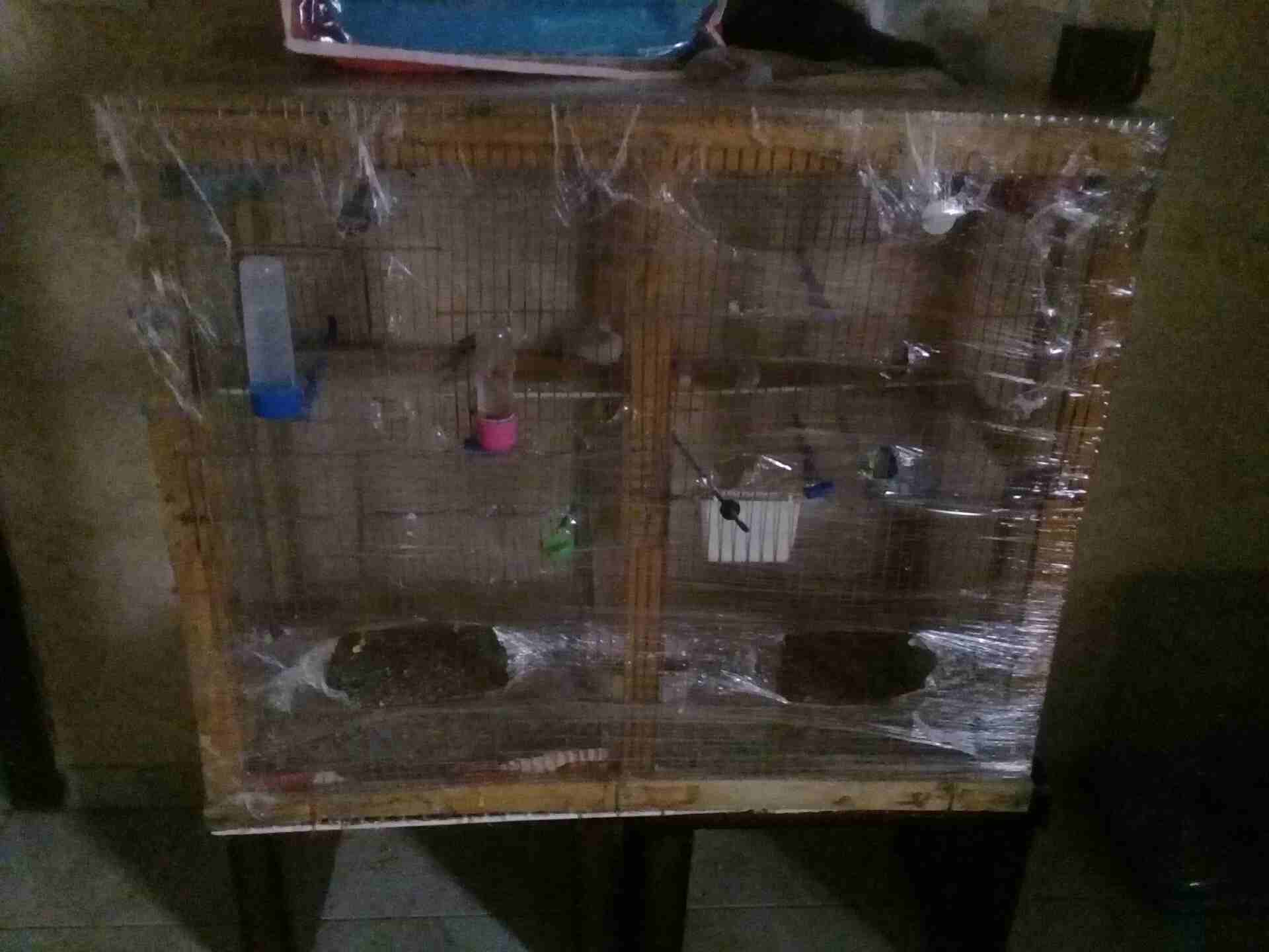 جبل الزهور                                            


	 				لا تنسَ أنك شاهدت هذا الإعلان في عنكبوت            
	 				
                            مطير كامل  البيع بسعر 35 يوجد في 3 جواز جنه في...