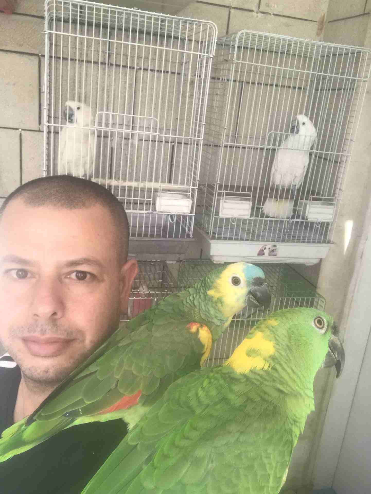 خبير طيور المعاكيف ابو ايهم
لا تنسَ أنك شاهدت هذا الإعلان في عنكبوت
بيع شراء تبديل ترويض علاج ق...