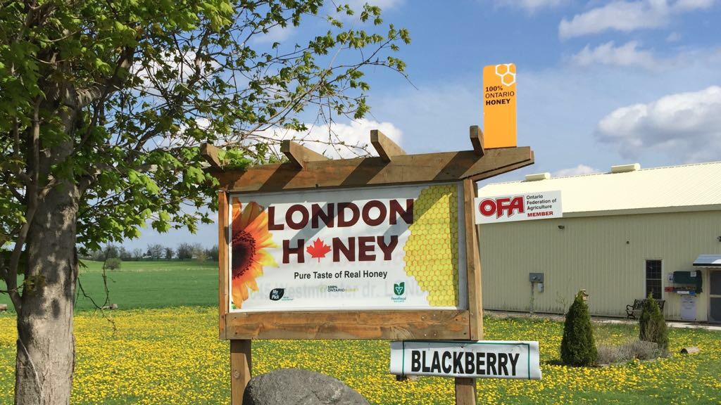 عسل كندي طبيعي حر صافي raw honey
لا تنسَ أنك شاهدت هذا الإعلان في عنكبوت
عسل حر انتاج مراعي ك...