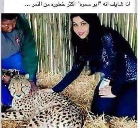 الراشد لترحيل المنازل وفك وتركيب الاثاث المحلي والاجنبي
لا تنسَ أنك شاهدت هذا الإعلان في عنكبوت...
