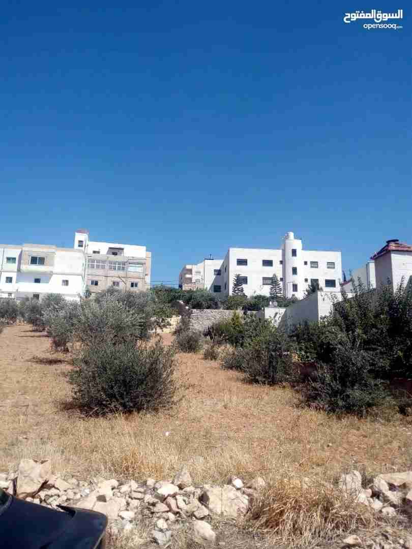 للبيع 850م ابو نصير ام بطمه قرب مستشفى الرشيد من المالك مباشره
لا تنسَ أنك شاهدت هذا الإعلان في عنكبوت...