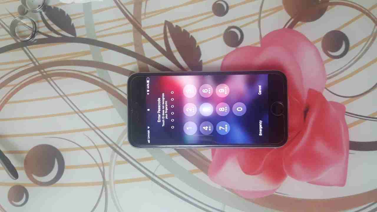 IPhone 6s 64GB                                            


	 				لا تنسَ أنك شاهدت هذا الإعلان في عنكبوت            
	 				
                            الجاهز ممتاز 
بس مشخوط من ورا مو كثيير...