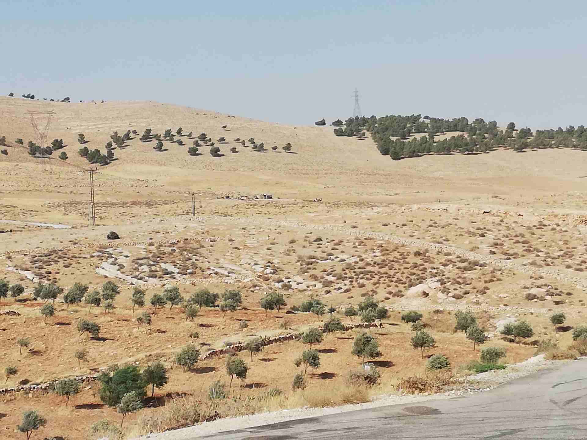 أرض للبيع في بيرين باسكان دكاترة الجامعة الأردنية مميزة بسعر مغري                                            


	 				لا تنسَ أنك شاهدت هذا الإعلان في عنكبوت...