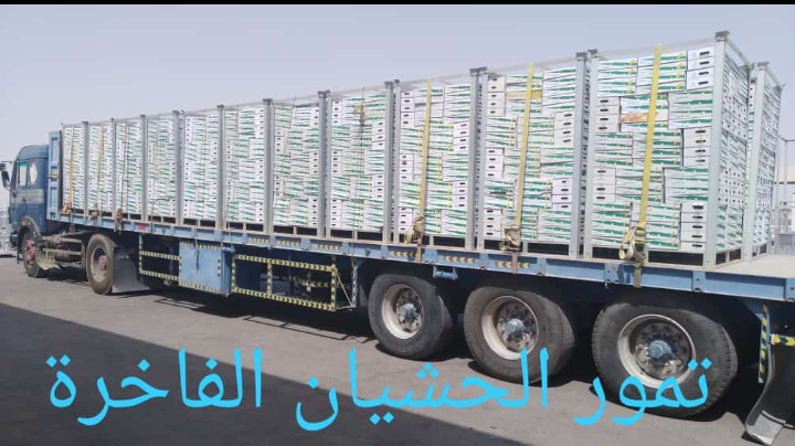 تمووووور الحشيان الفاخرة سكري الشيوخ وخلاص القصيم الشيوخ كيلو ونص كيلو متوفرة
لا تنسَ أنك شاهدت هذا الإعلان في عنكبوت...