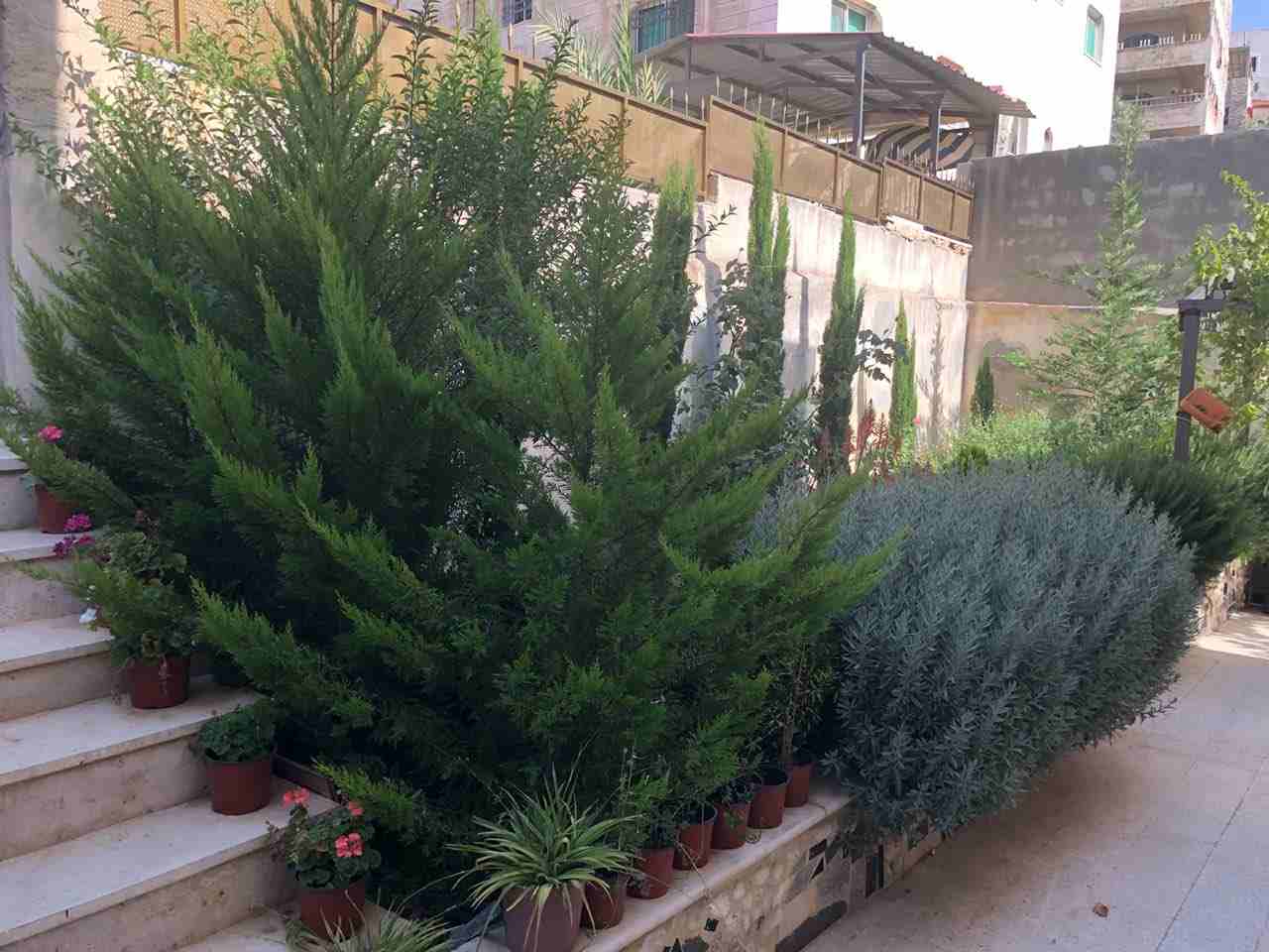 تقطيع حطب النار والاشجار
لا تنسَ أنك شاهدت هذا الإعلان في عنكبوت
الاستعداد التام لتقطيع حطب النار...