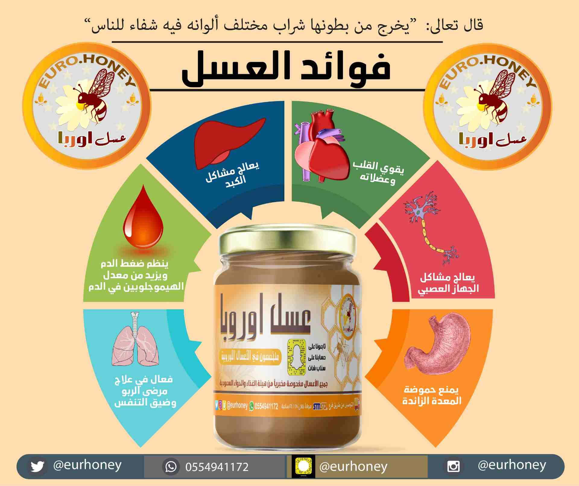 عسل اوربا
لا تنسَ أنك شاهدت هذا الإعلان في عنكبوت
فوائد العسل لتقوية الذاكرة
العسل غنى بمضادات ال...