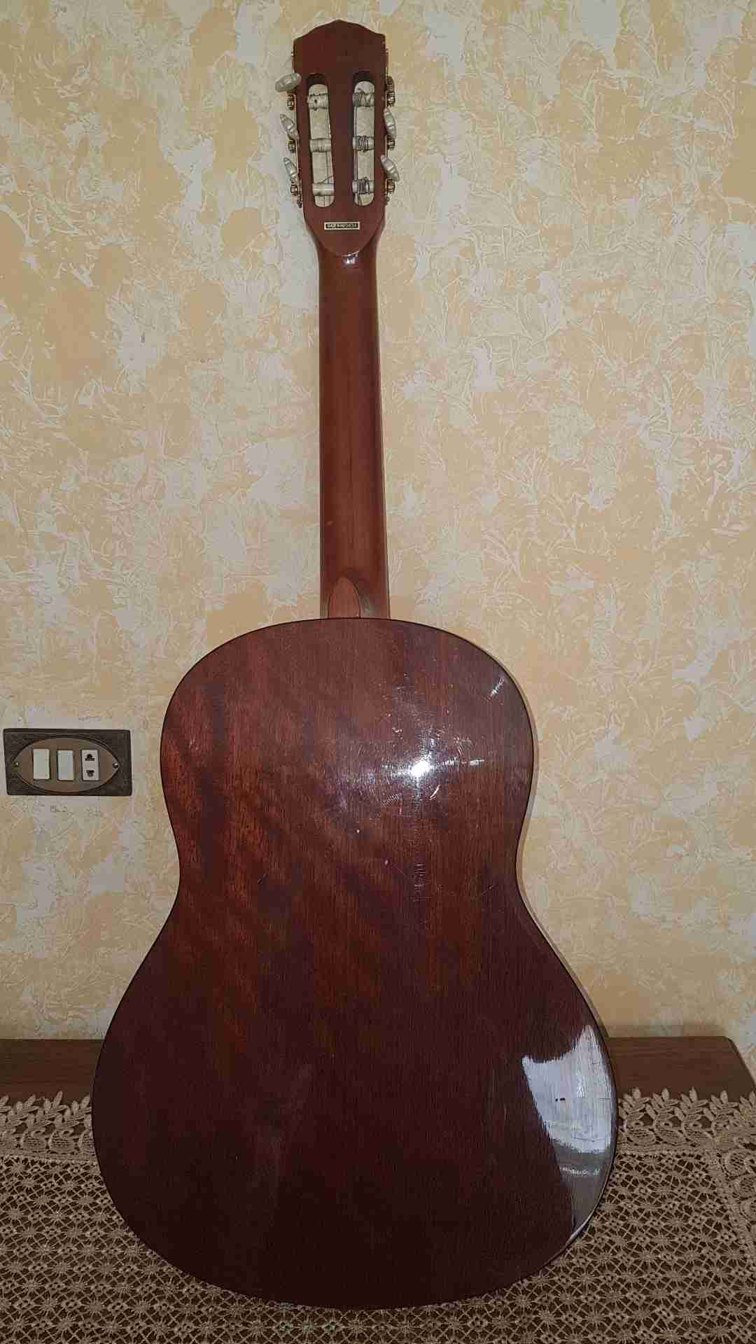جيتار نوع فيندر للبيع/ fender guitar                                            


	 				لا تنسَ أنك شاهدت هذا الإعلان في عنكبوت            
	 				
                                جيتار نوع فيندر...