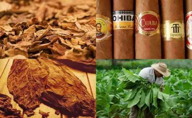 مطلوب عطر باك تو بلاك باي
لا تنسَ أنك شاهدت هذا الإعلان في عنكبوت
عطر بنوتات العسل و التيغ .....