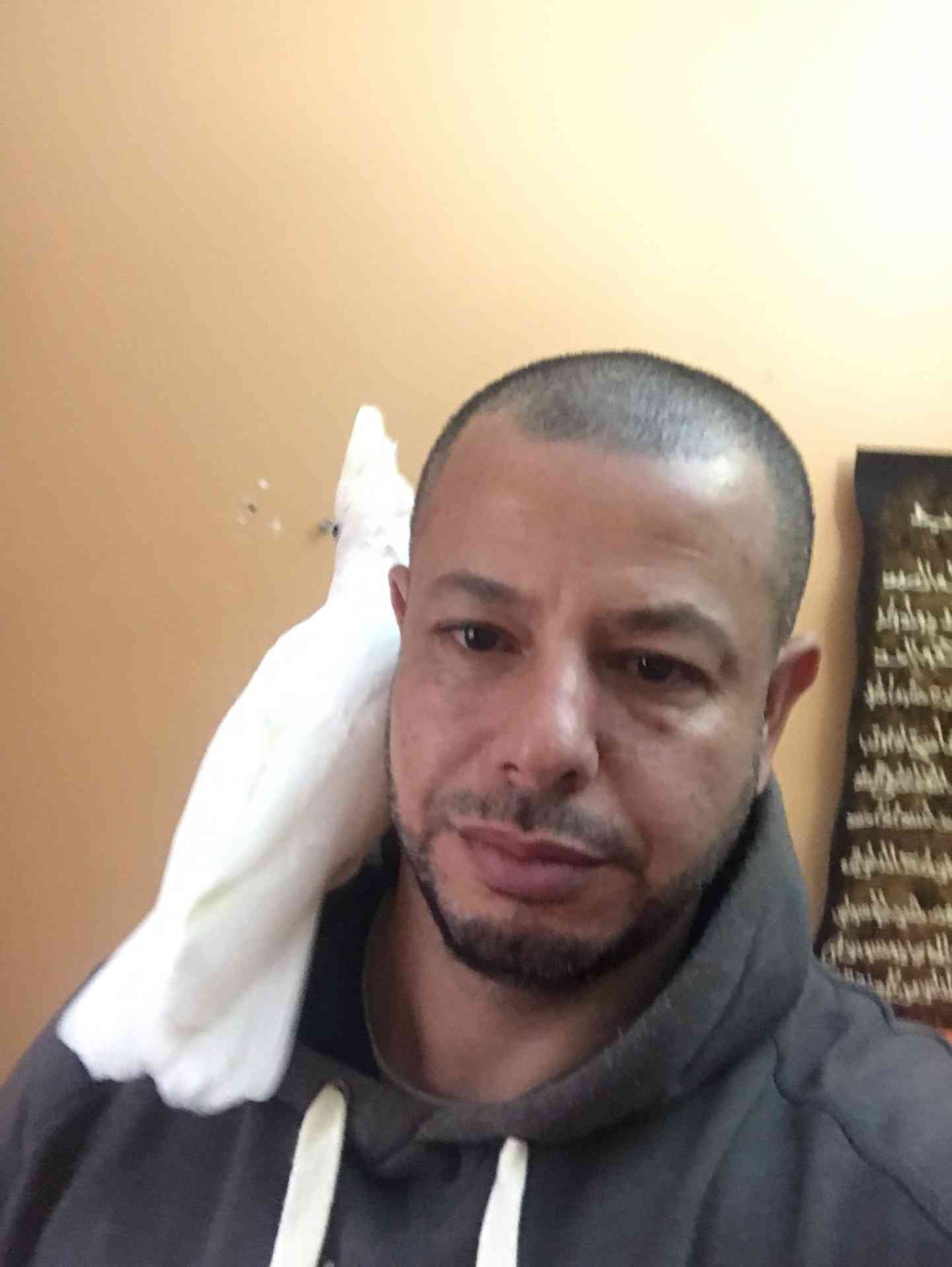 كوكاتو بلوقوفن اليف للبيع 300 دينار
لا تنسَ أنك شاهدت هذا الإعلان في عنكبوت
كوكاتو قوفن اليفه...