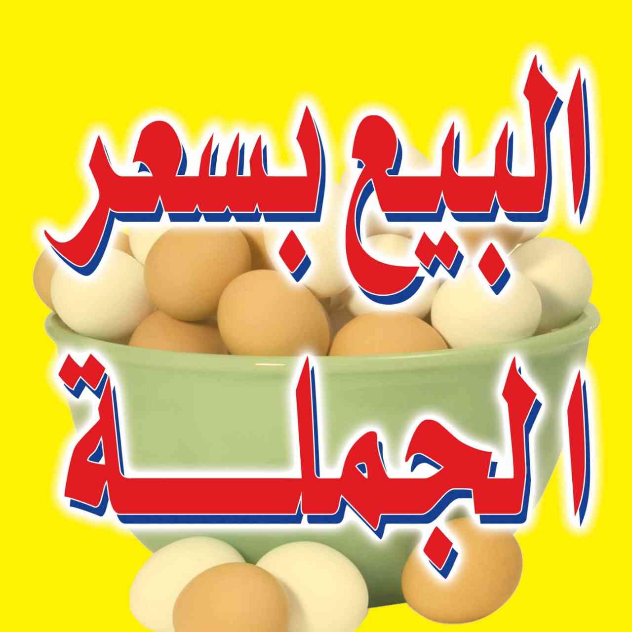 نار ناررر نار أسعار من مزارعنا لاصاحب تجار الجملة                                            


	 				لا تنسَ أنك شاهدت هذا الإعلان في عنكبوت            
	 				
                                بيض...