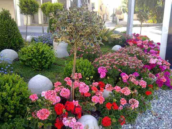 أعمال زراعة وتنسيق الحدائق
لا تنسَ أنك شاهدت هذا الإعلان في عنكبوت
مؤسسة الحديقه العصريه لزراعة و...