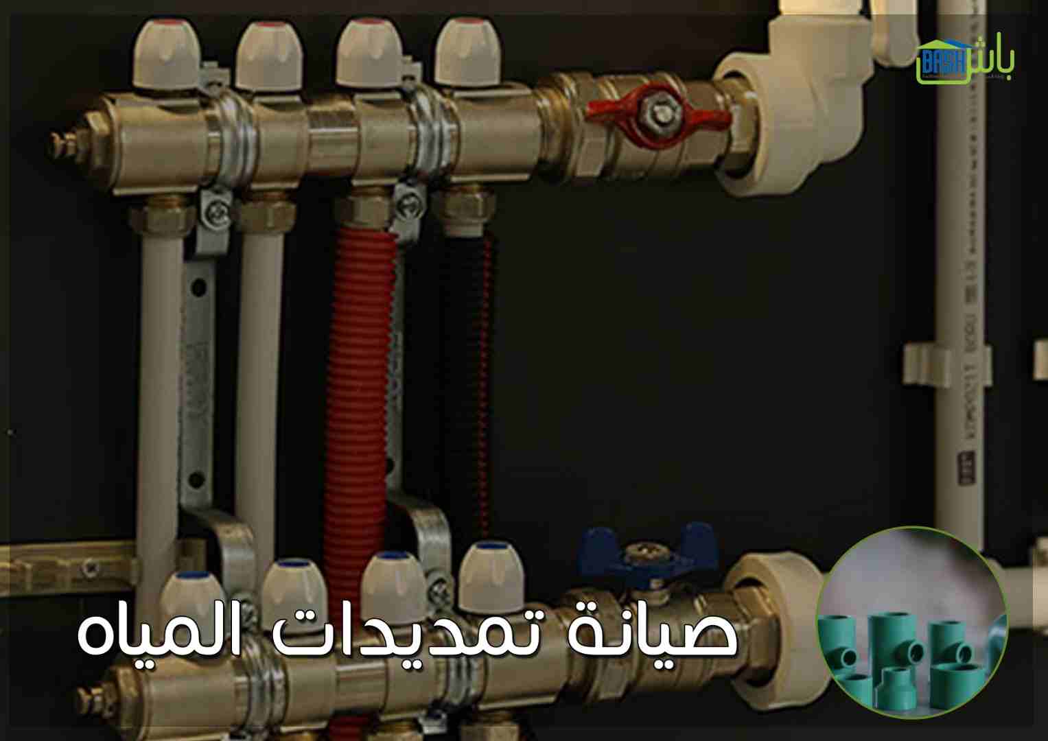 مكافحة الحشرات والقوارض - شركة باش لادارة المرافق
لا تنسَ أنك شاهدت هذا الإعلان في عنكبوت
-خدمات...