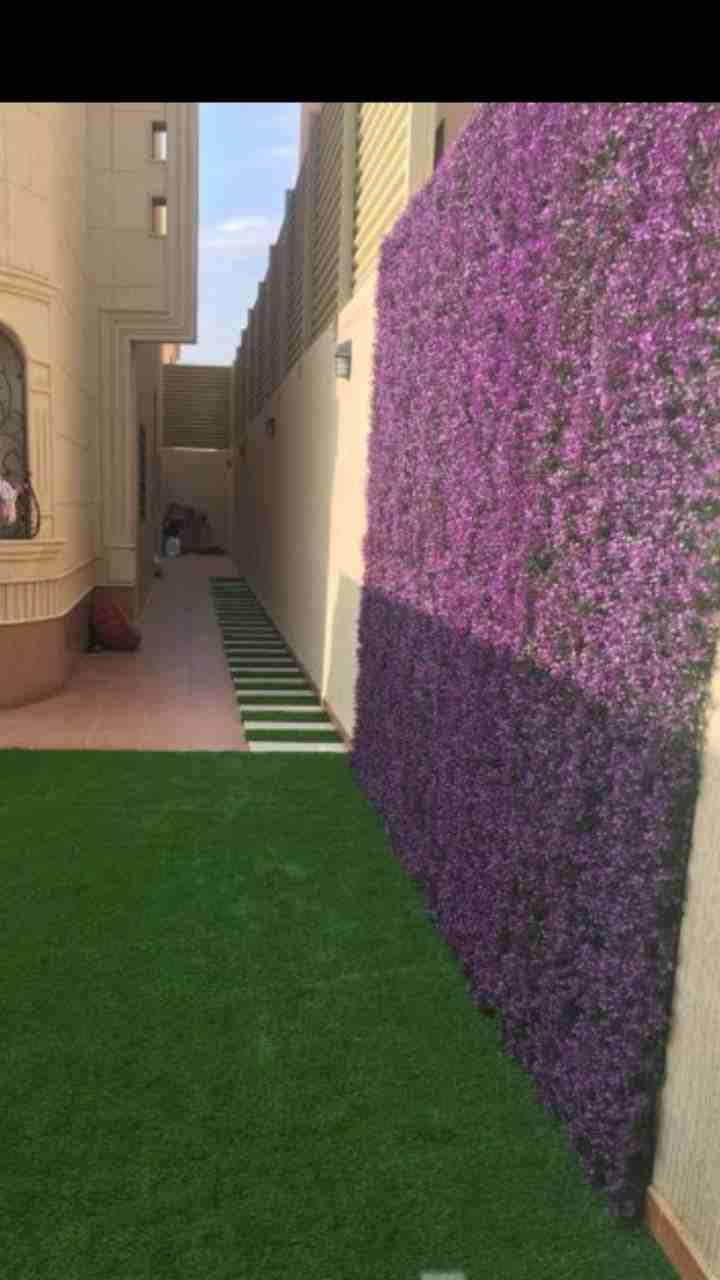 عشب صناعي جداري وحدائق0563673229
لا تنسَ أنك شاهدت هذا الإعلان في عنكبوت
توريد وتركيب العشب الصنا...