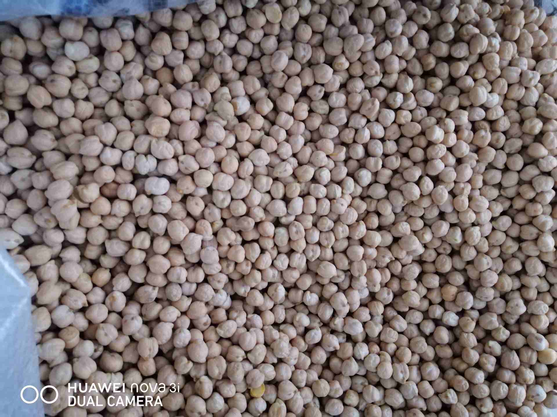 حمص نمر 8                                            


	 				لا تنسَ أنك شاهدت هذا الإعلان في عنكبوت            
	 				
                            حمص نمره 8 نخب اول بلد المنشأ تركيا...