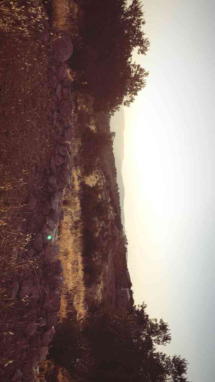 مزرعه مطله على الضفه الغربيه في عراق الامير حوض العميريه والفحص
لا تنسَ أنك شاهدت هذا الإعلان في عنكبوت...