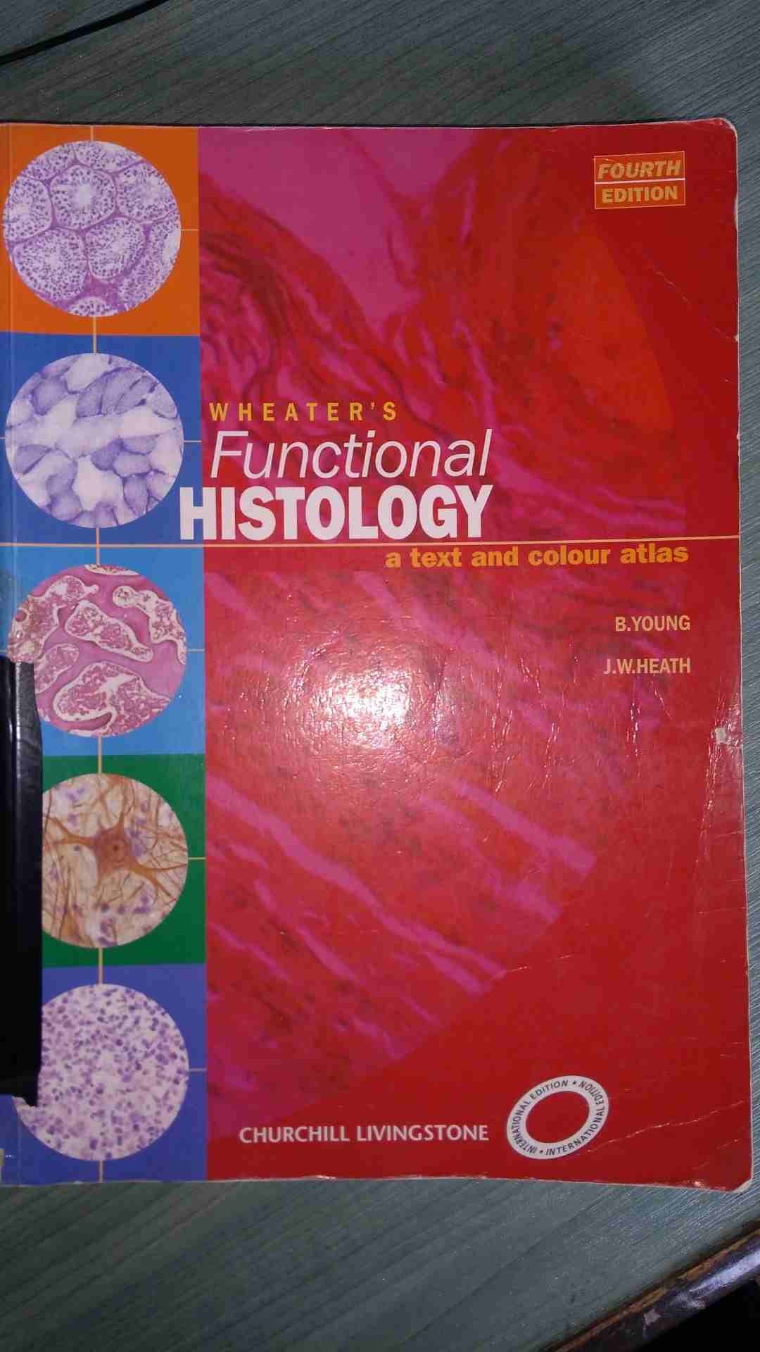 كتب طبية بحاله فوق الممتازه وكأنها جديده
لا تنسَ أنك شاهدت هذا الإعلان في عنكبوت
كتب طبيه وكاله...