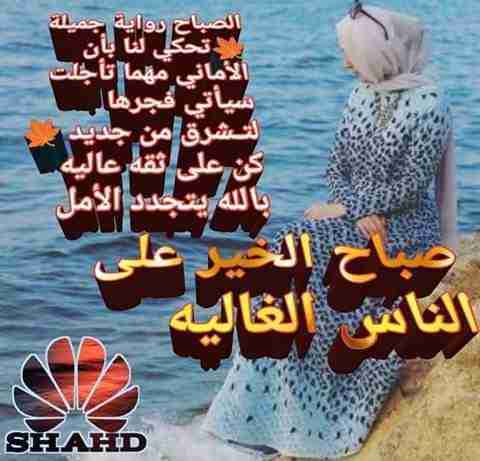 فوانيس حجر                                            


	 				لا تنسَ أنك شاهدت هذا الإعلان في عنكبوت            
	 				
                                مخرطه عدي المغايره...