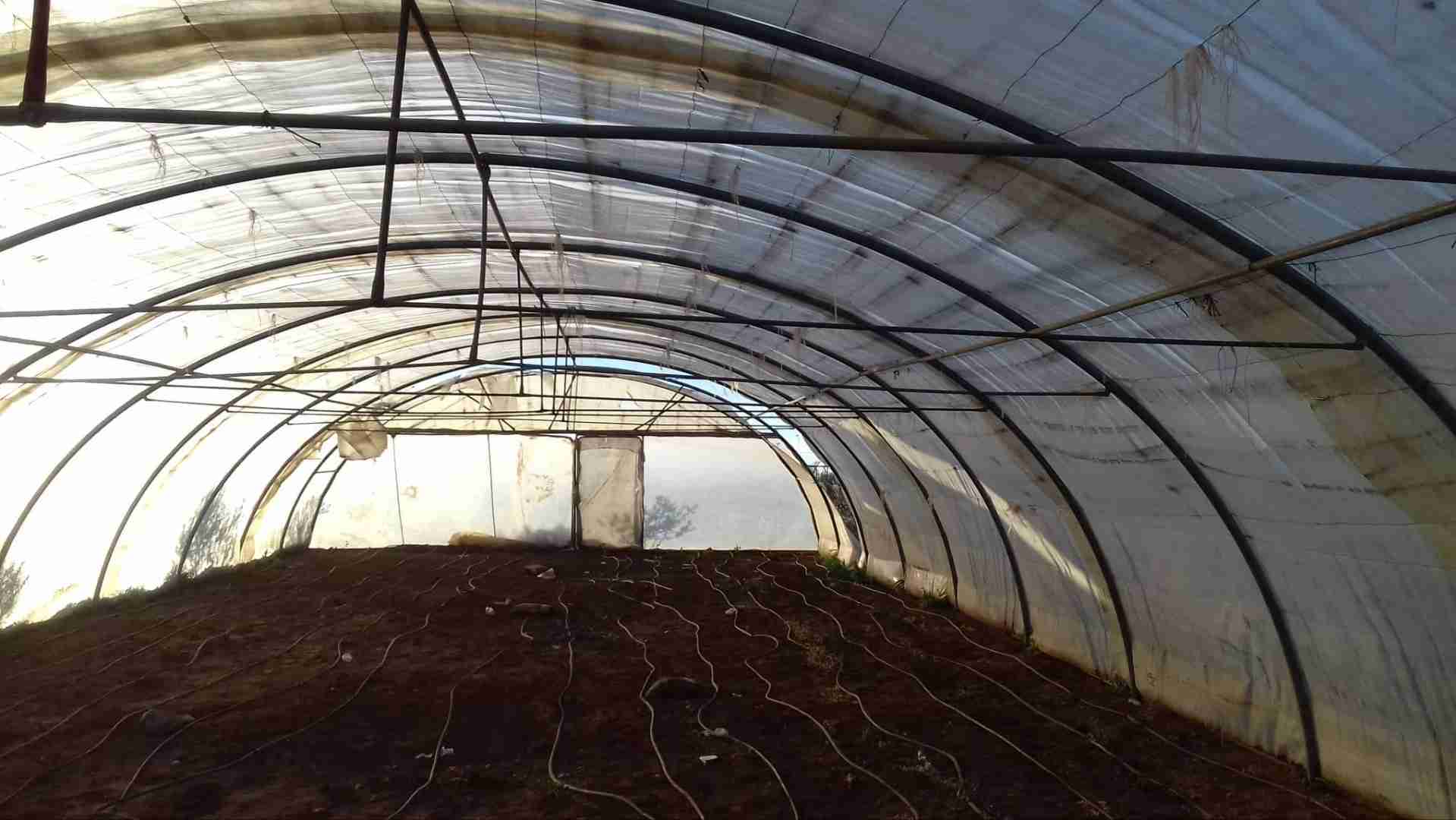 بيت بلاستيك للبيع بسعر مميز وبحالة الوكالة
لا تنسَ أنك شاهدت هذا الإعلان في عنكبوت
بيت بلاستي...