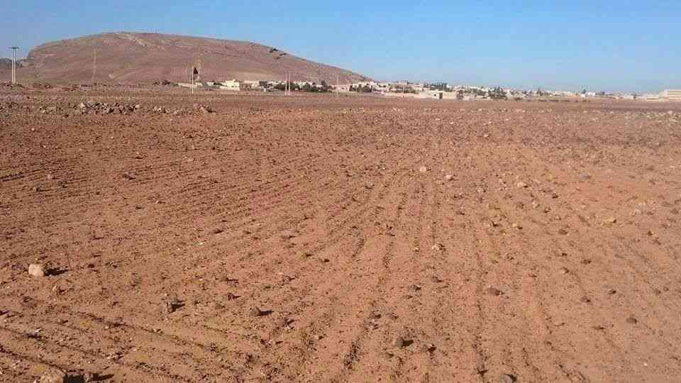 ارض للبيع المفرق البادية الشمالية تل الرماح مساحة31دنم                                            


	 				لا تنسَ أنك شاهدت هذا الإعلان في عنكبوت...